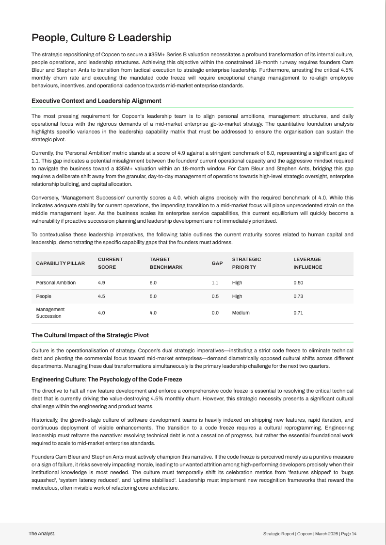 Strategic Report, Strategic Analysis